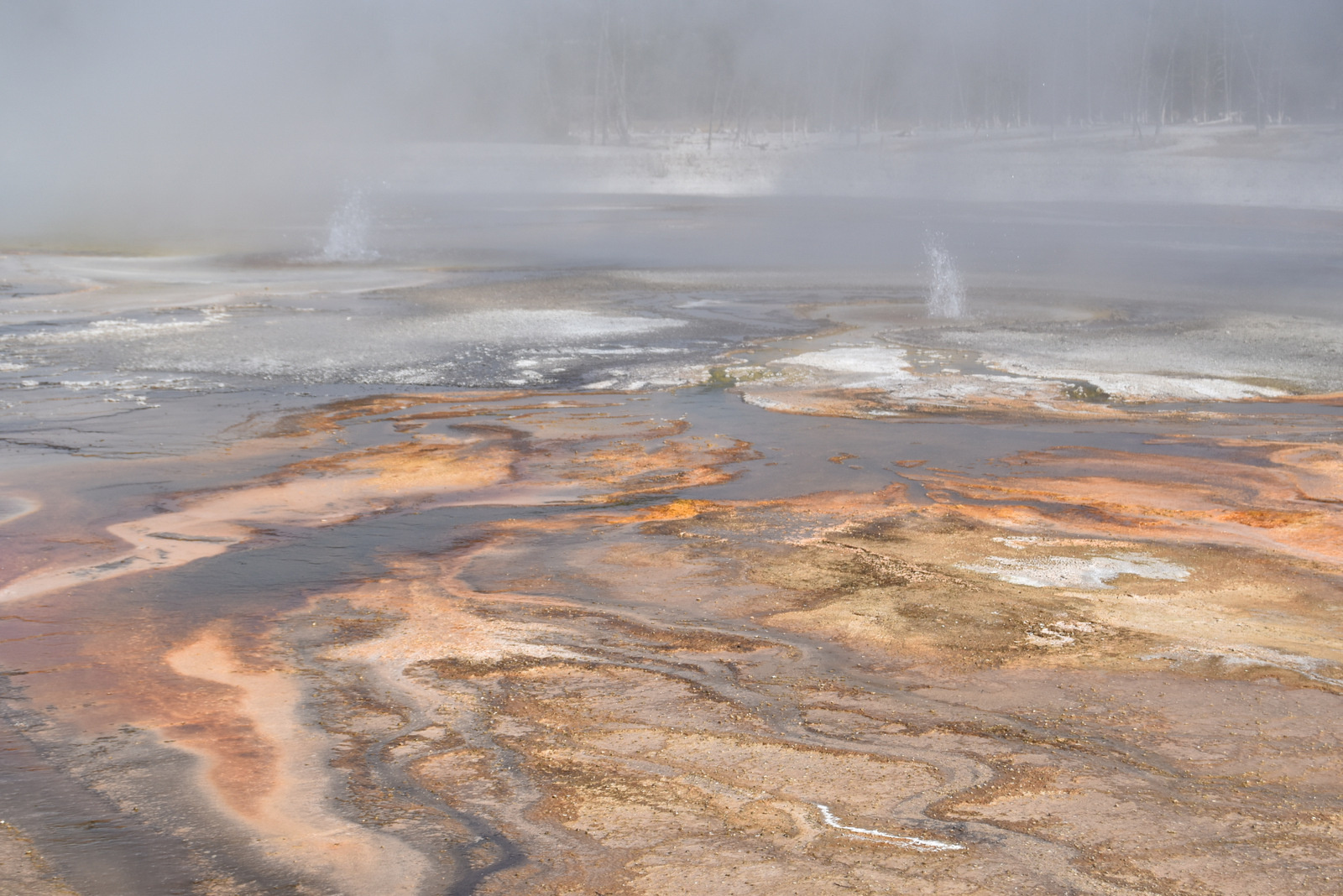 US160926 061 Yellowstone NP, WY