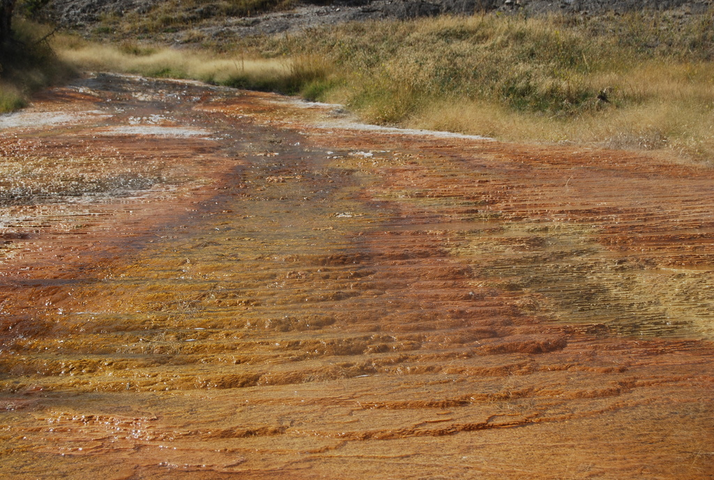 US 2010 Day10  087 Mammoth Hot Springs, Yellowstone NP, WY