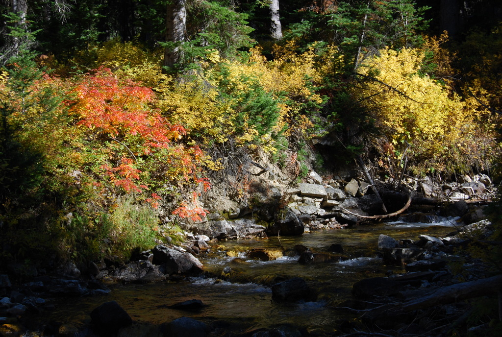 US 2010 Day11  066 Paintbrush Canyon, Grand Teton NP, WY