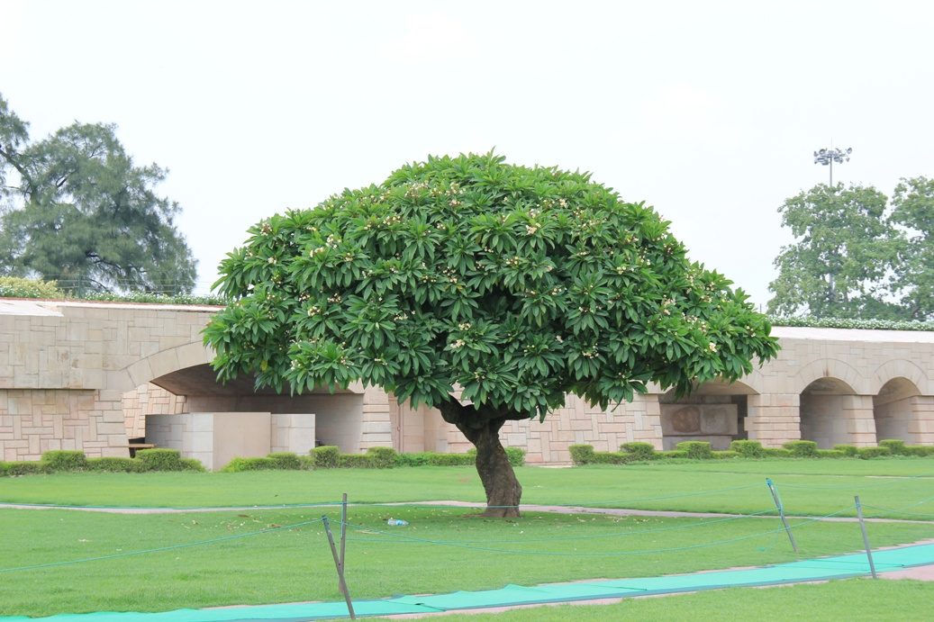 Raj Ghat 2