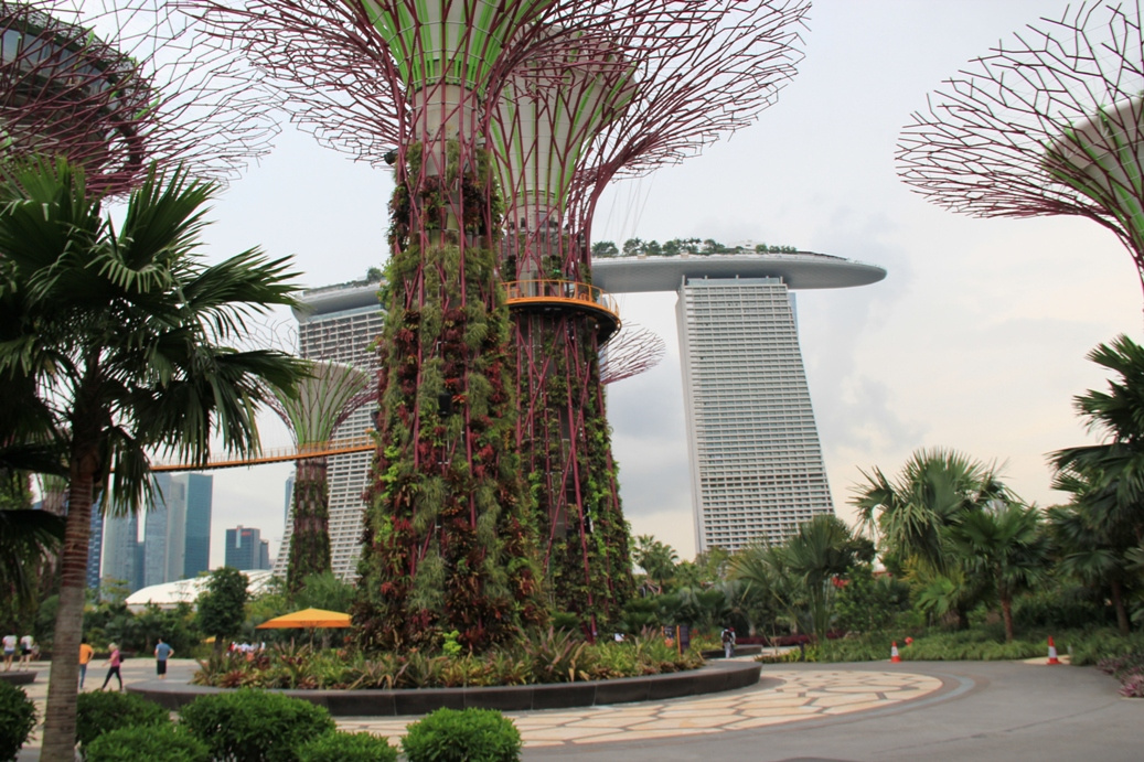 Singapore day3 Gardens by the bay188