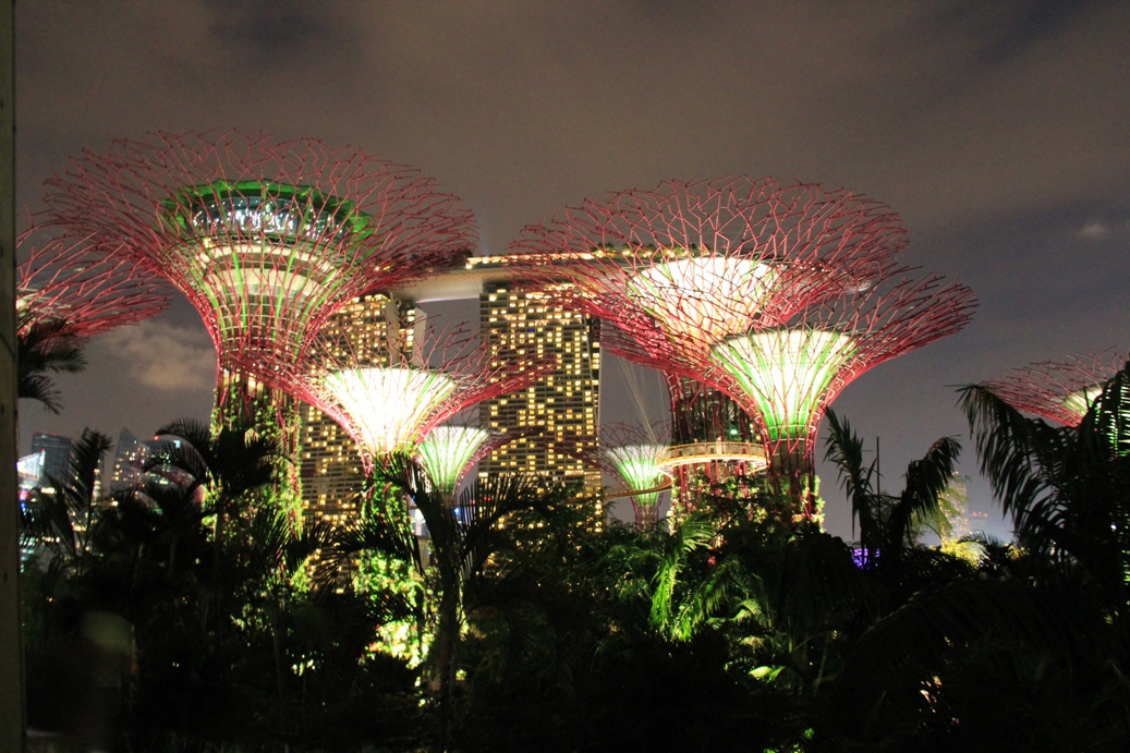 Singapore day3 Gardens by the bay378