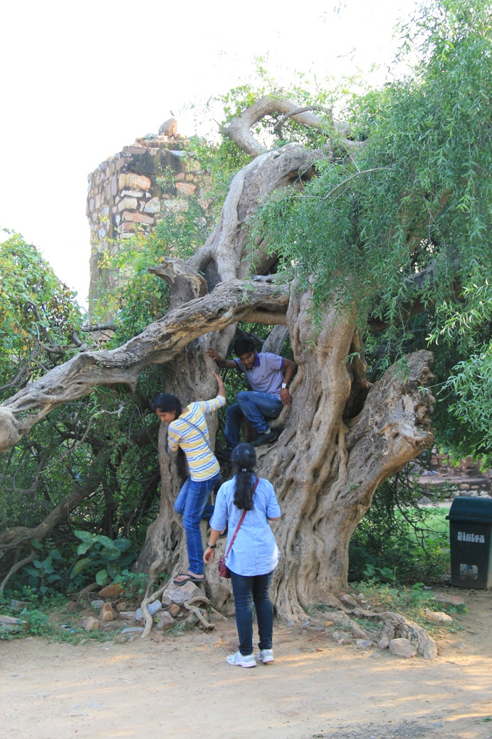 Qutab Minar8