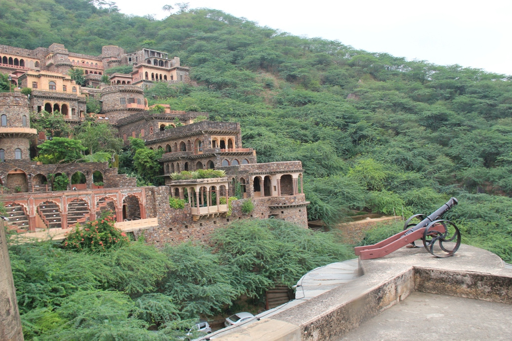 Neemrana erod5