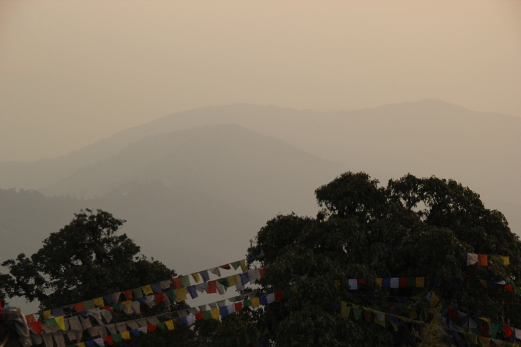 Darjeeling Kadzsenzunga Tiger Hillrol2