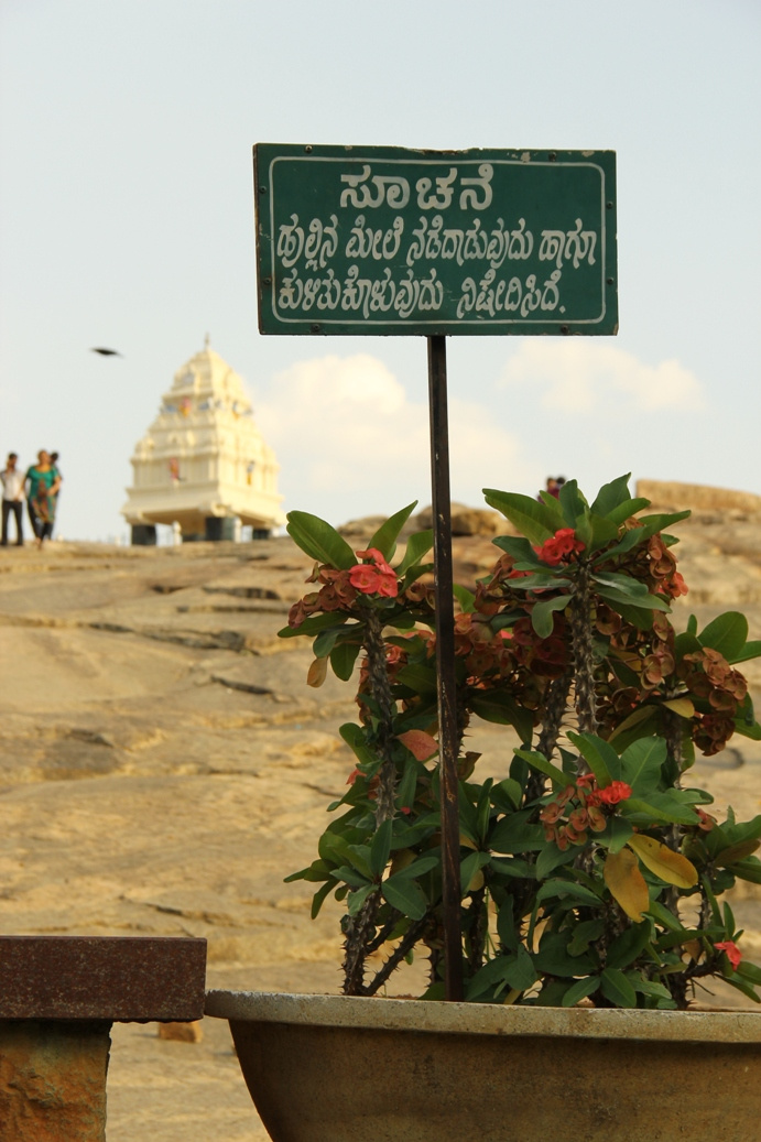 Lal Bagh botanikus kert1