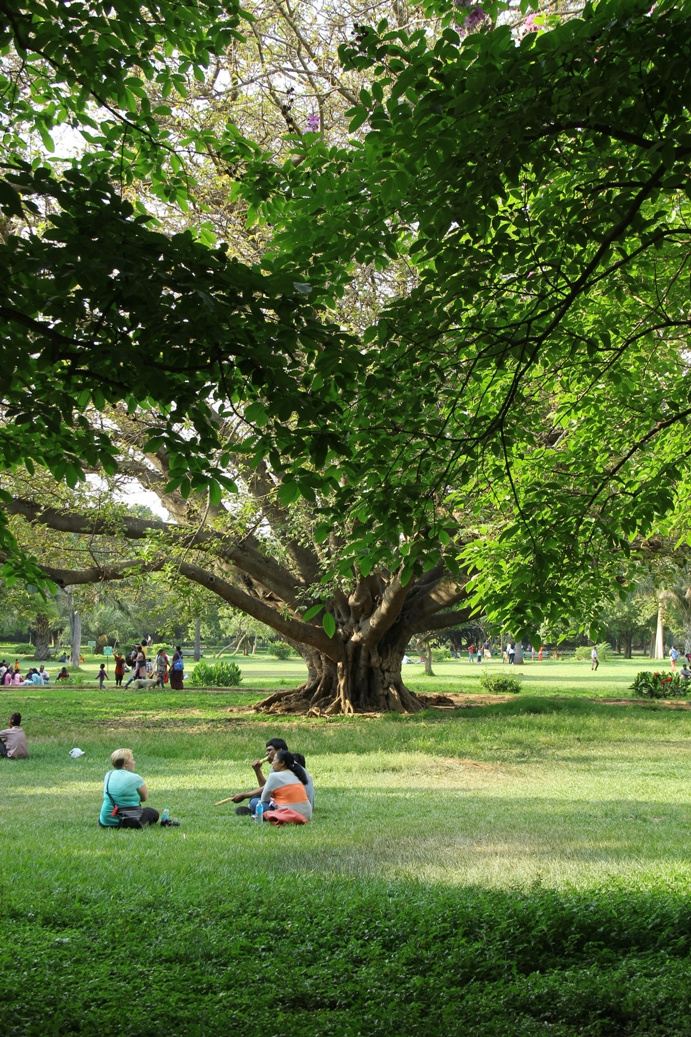 Lal Bagh botanikus kert5