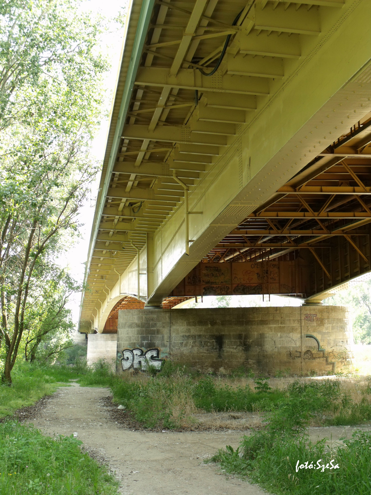 Bertalan híd, Szegeden