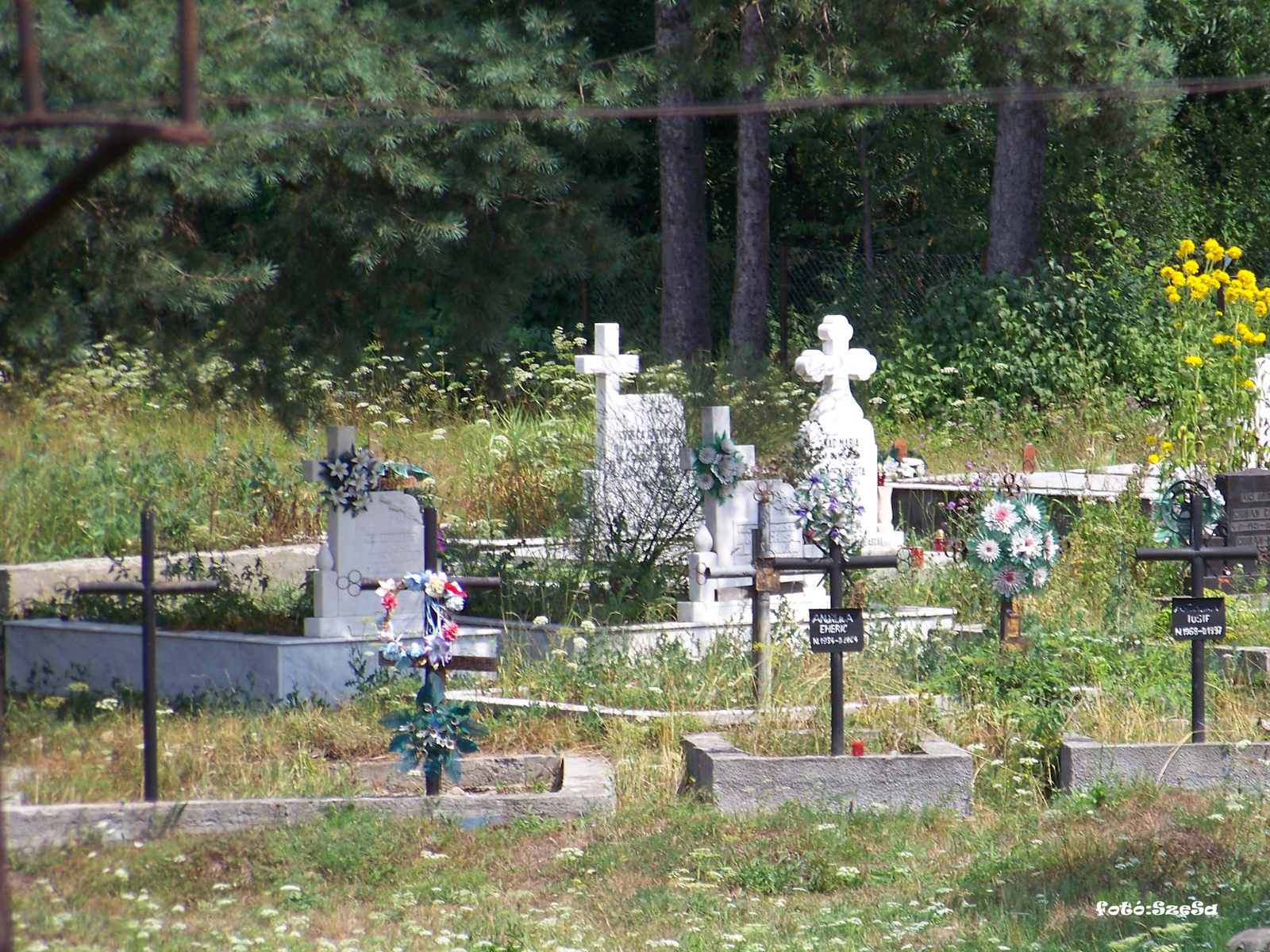 Falusi temető