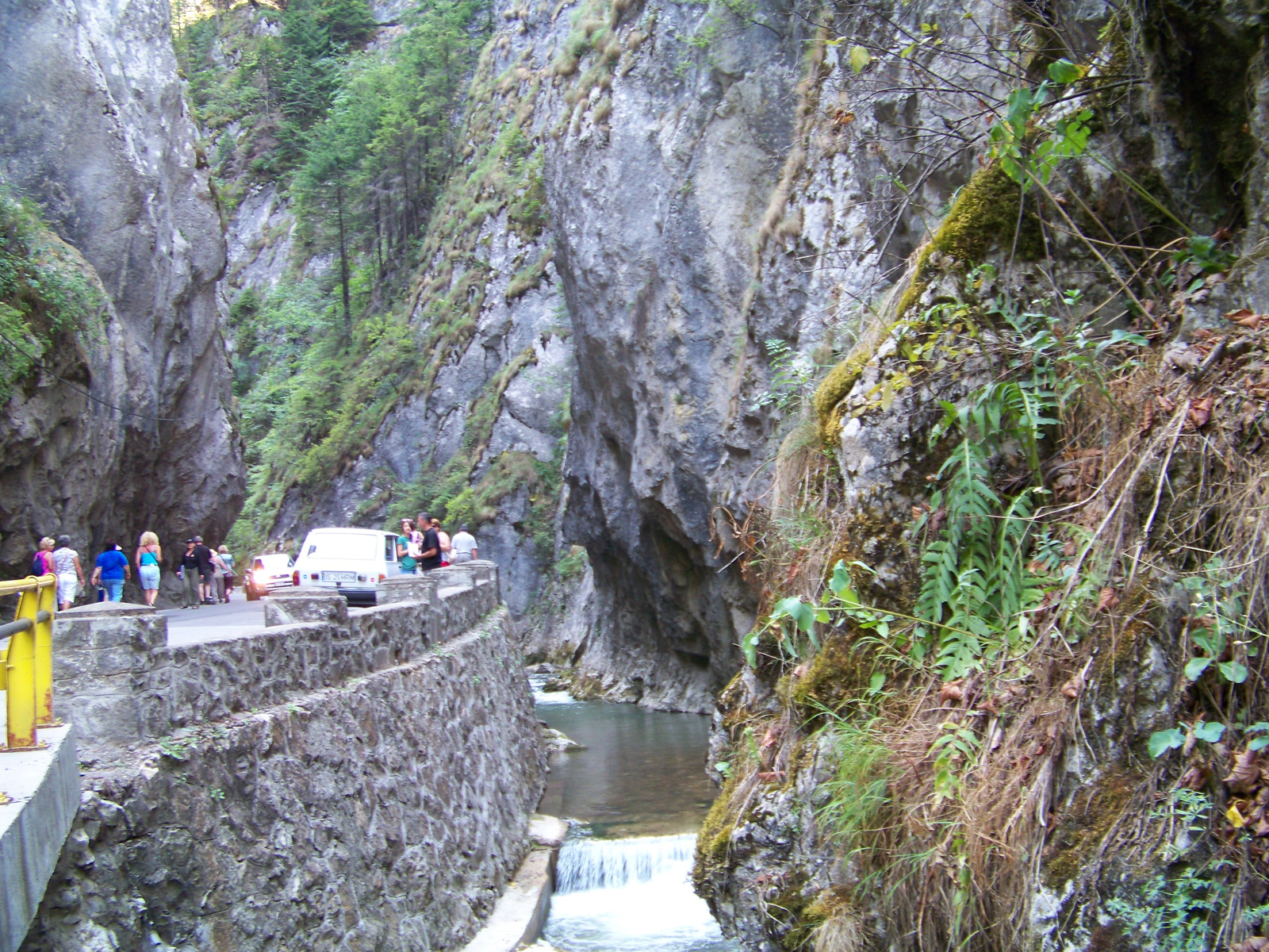 Békás szoros, patak meder