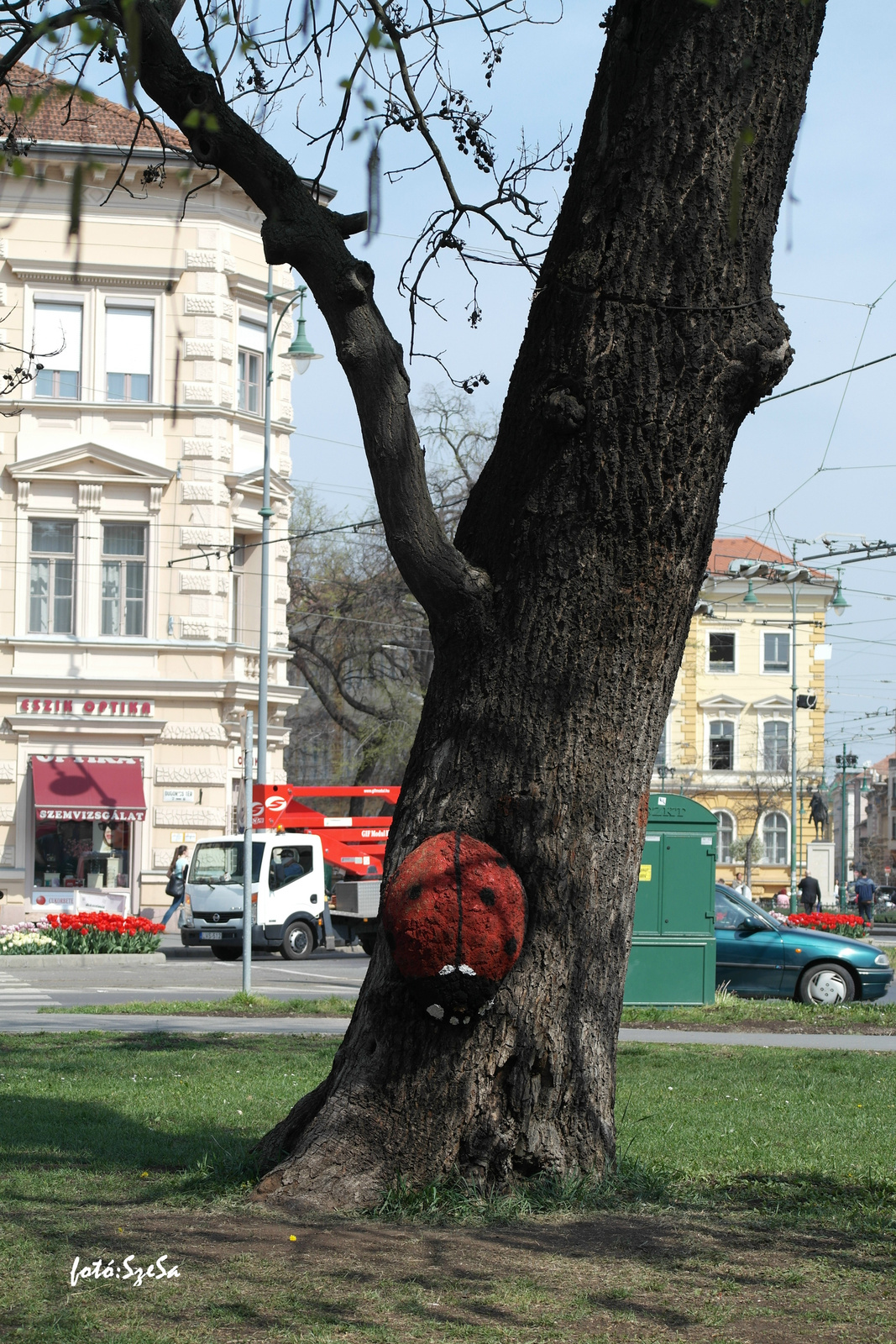 Termetes "katica" mint műalkotás...