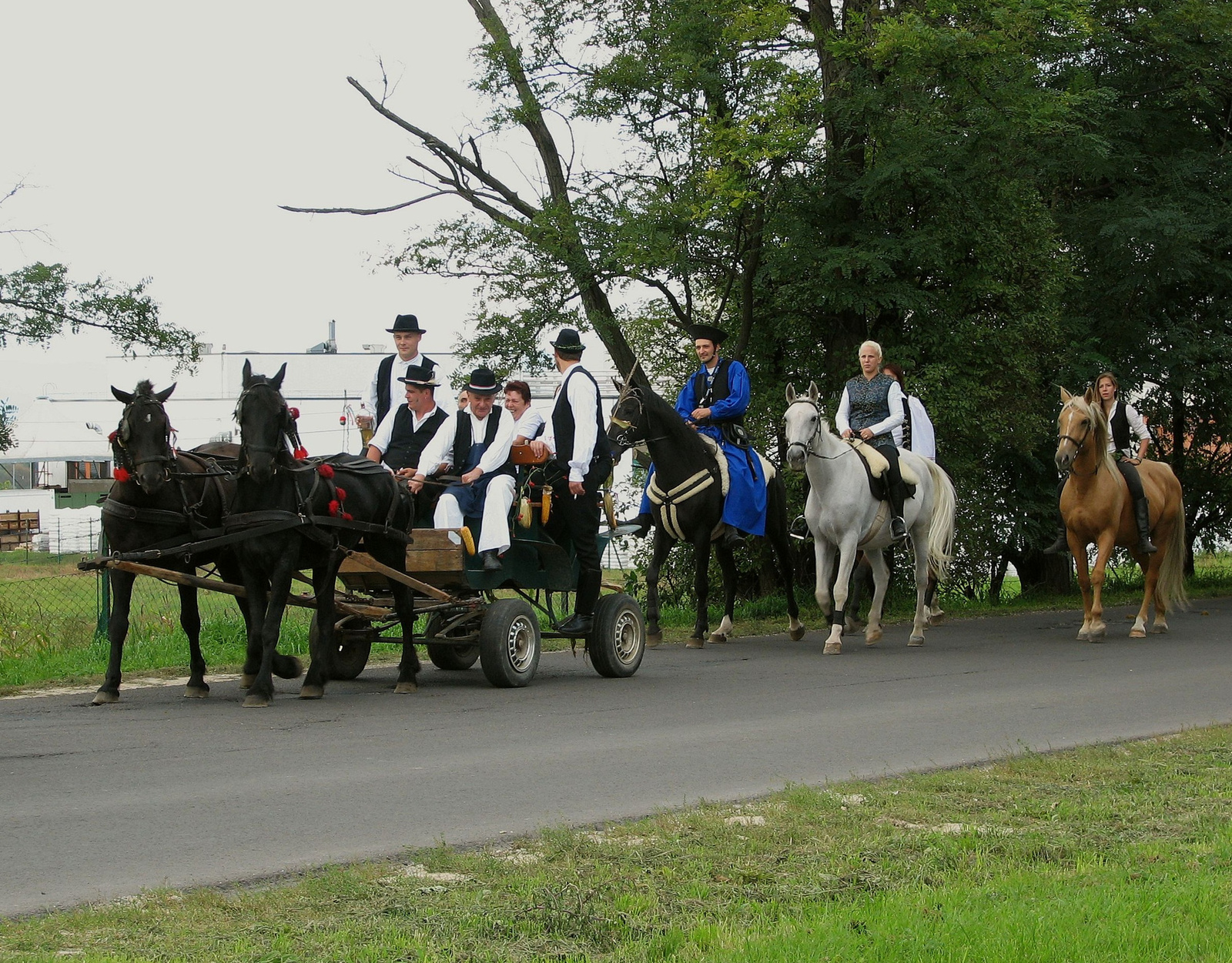 IMG 0109 szadaszüret