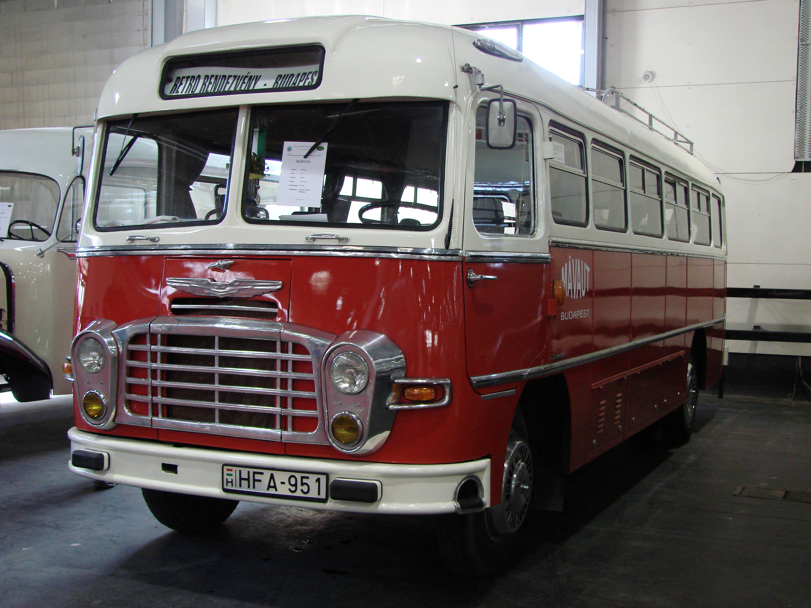 Ikarus 31