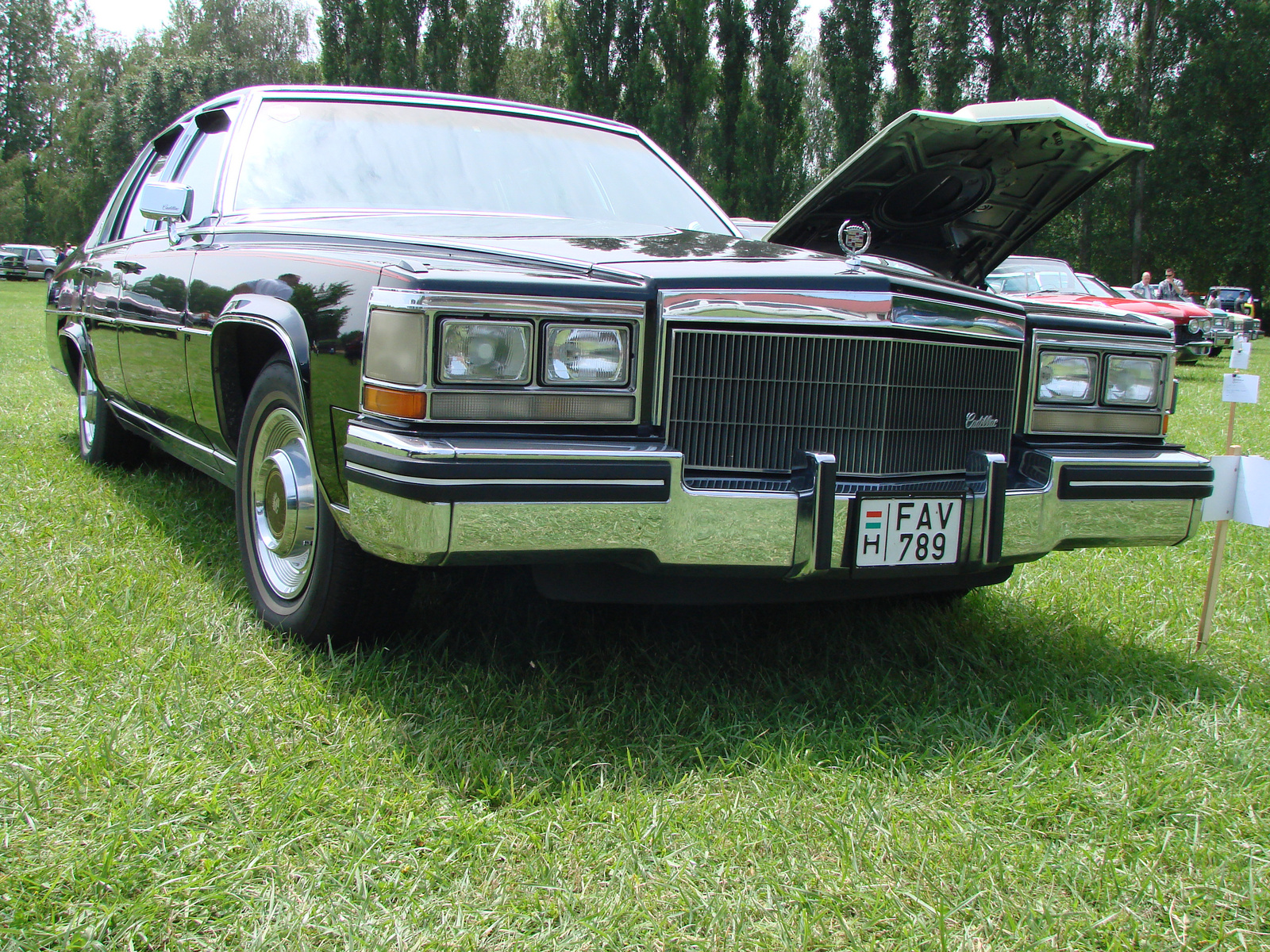 Cadillac Fleetwood