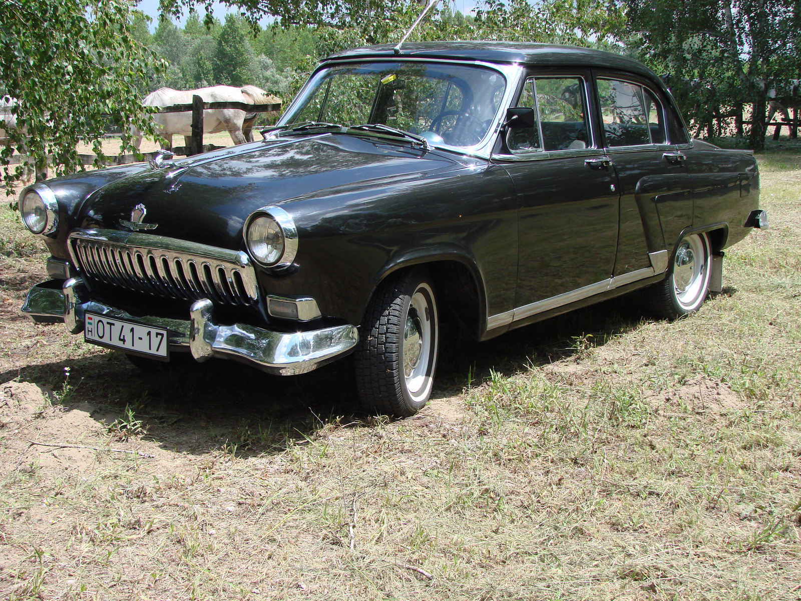 Volga M21