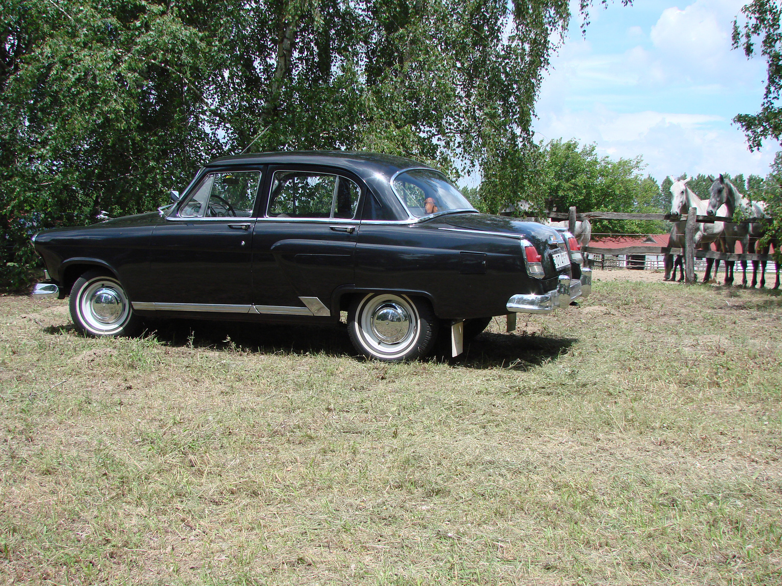 Volga M21