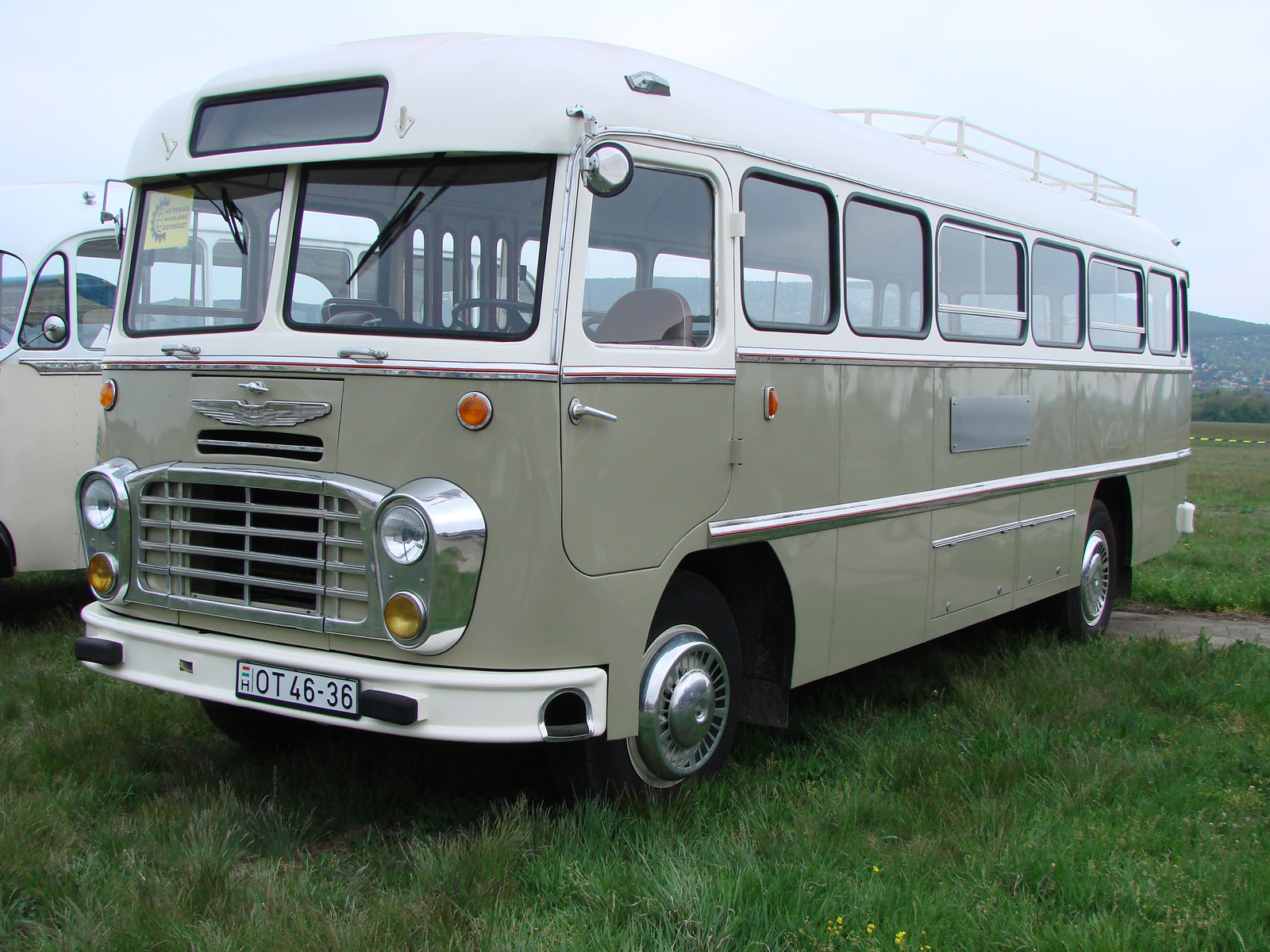 Ikarus 31