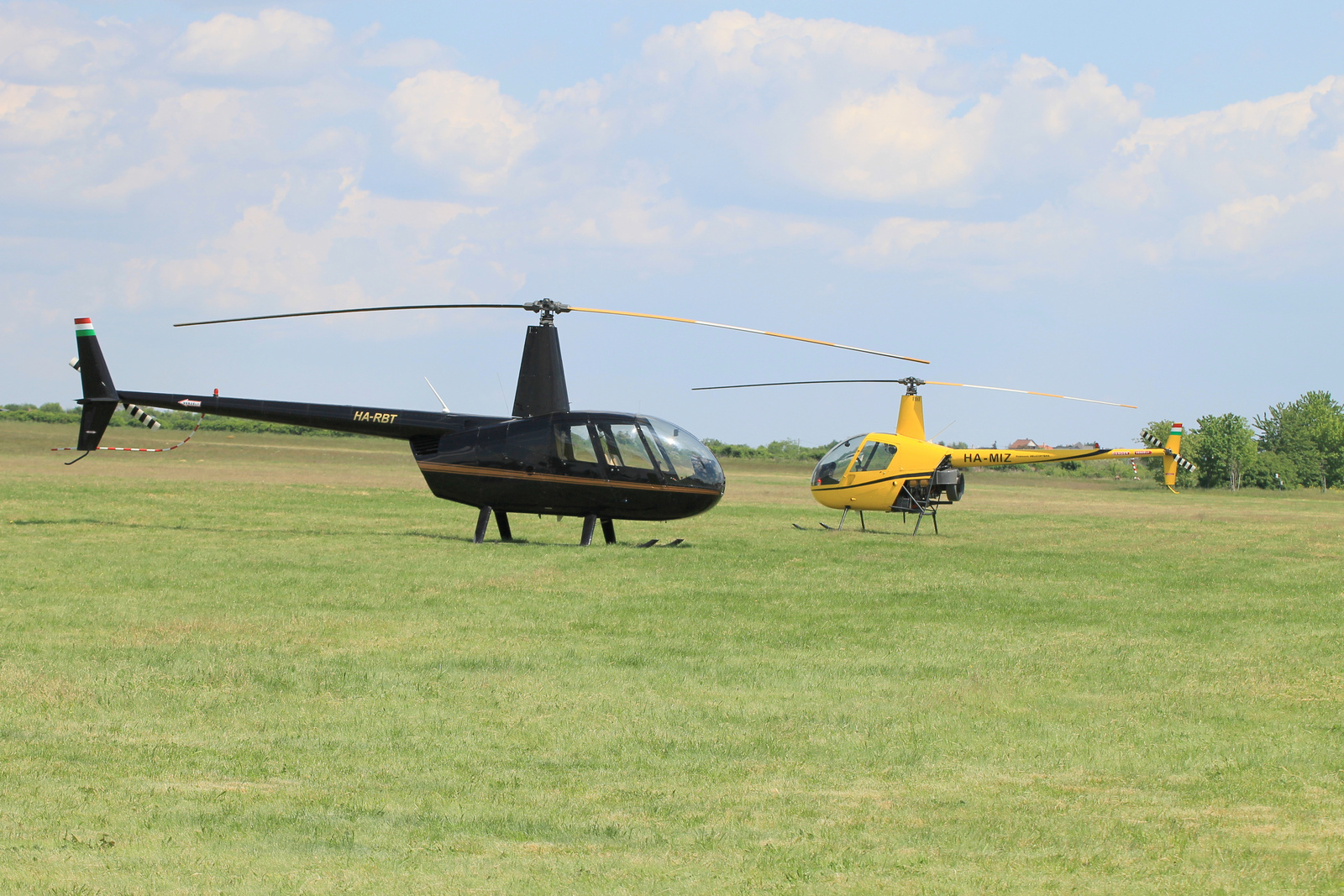 Robinson R44 Raven II - Robinson R22B Beta II