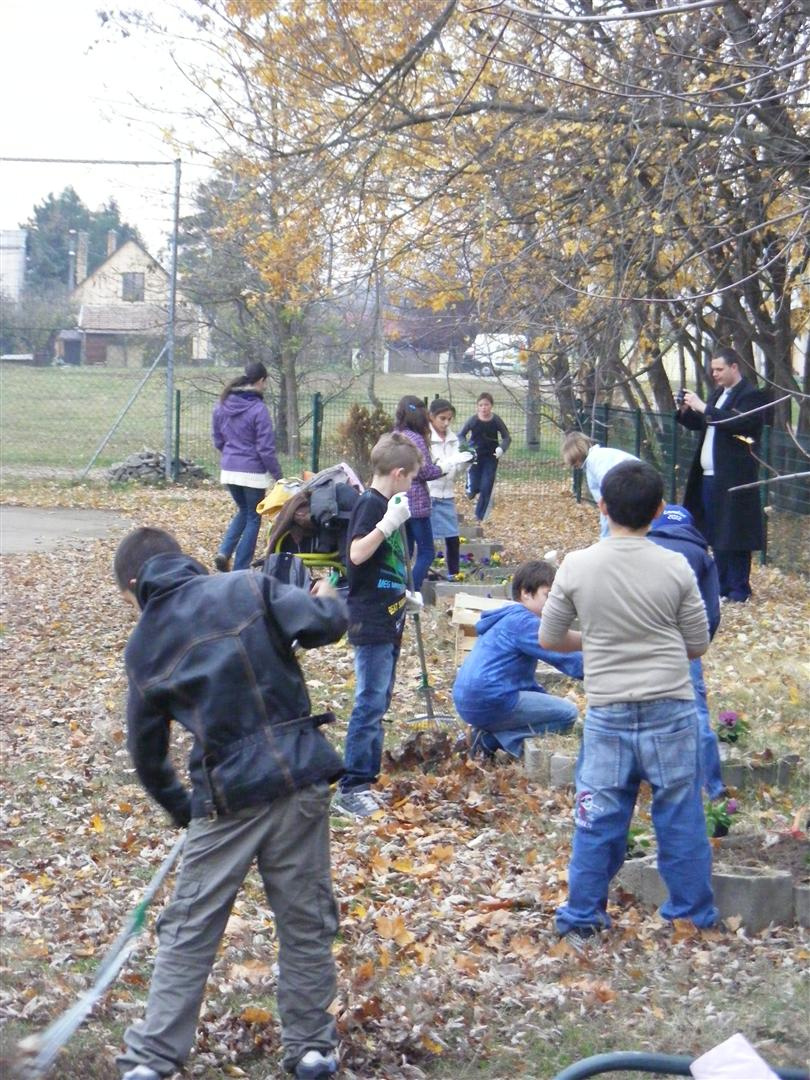 2012. ősz-virágültetés (1)