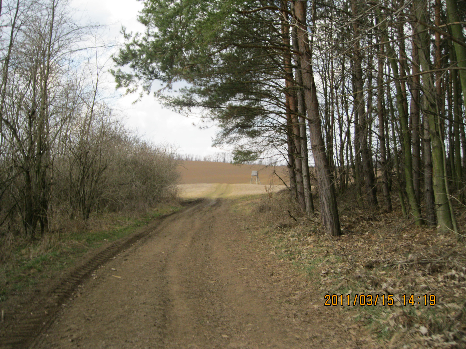 Sáp 2011.03.15. 152