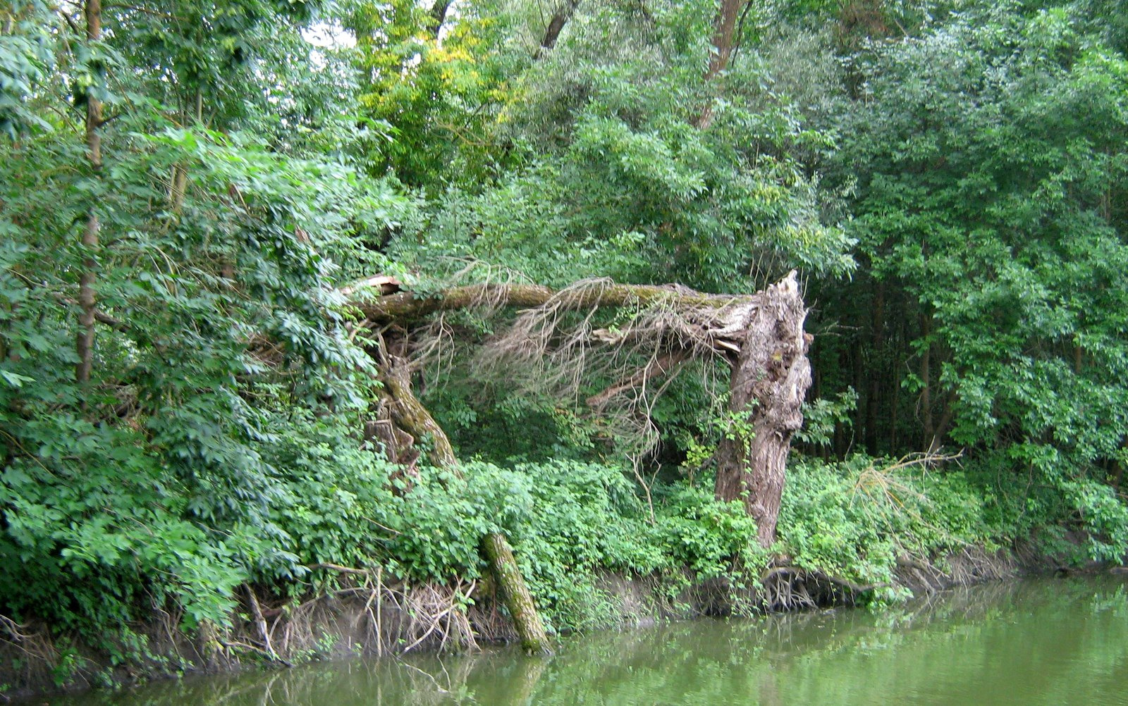 Kopácsi Nemzeti Park