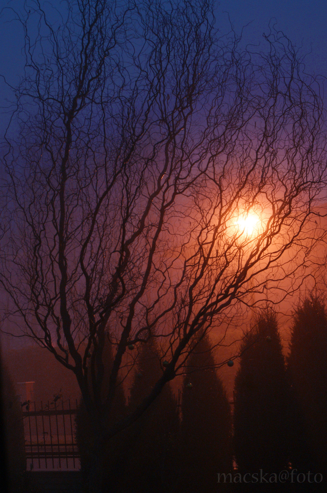januári ködös hajnal