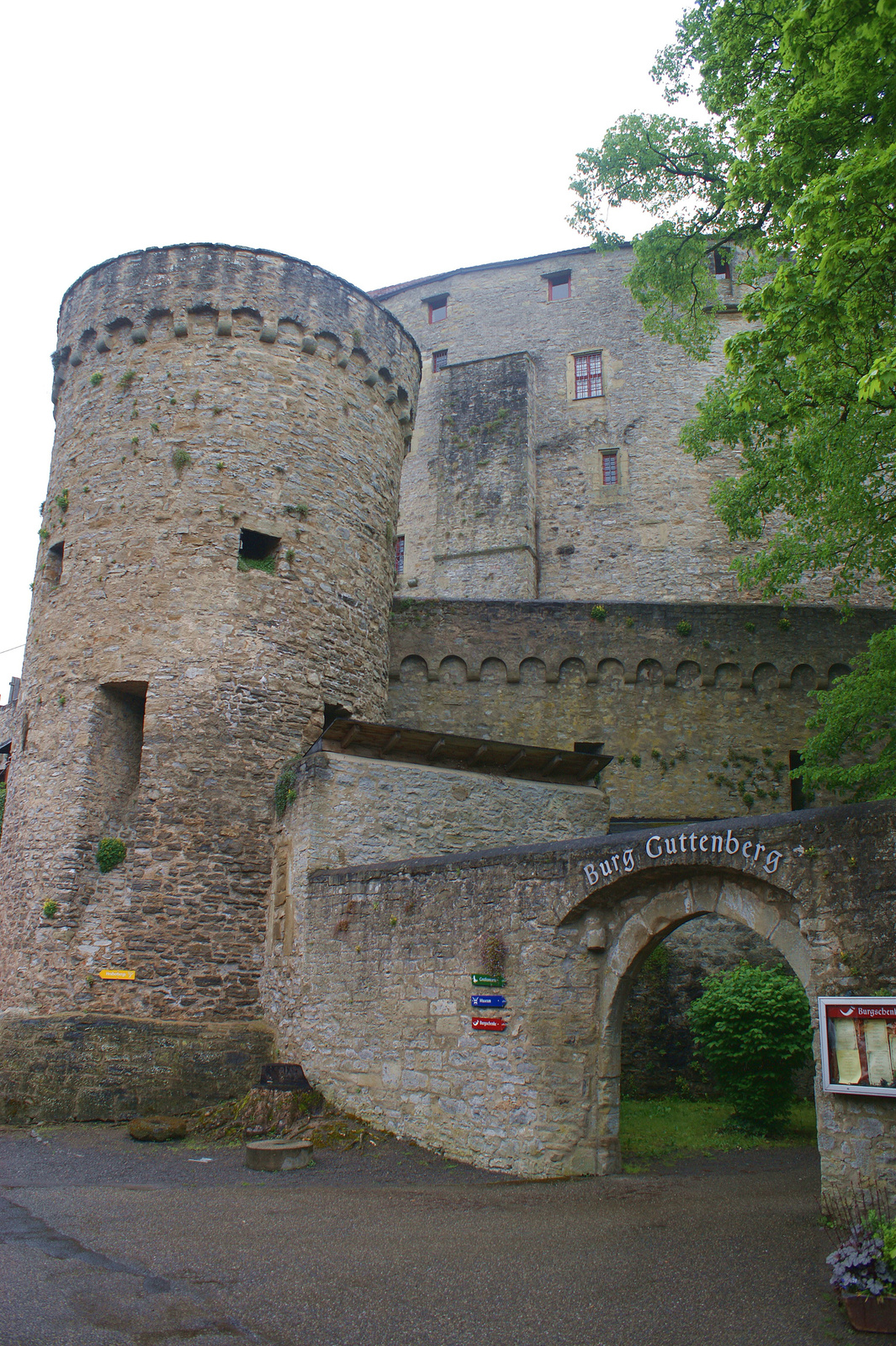 Burg Guttenberg - Gundelsheim