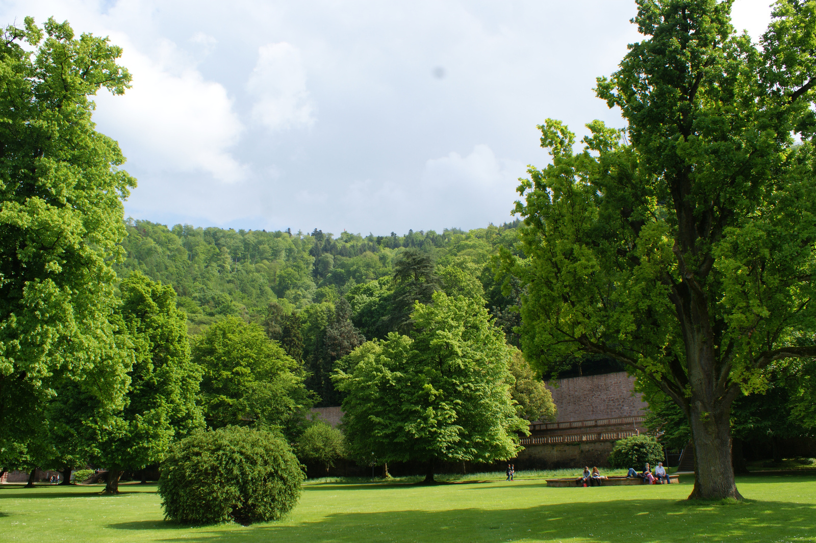 Schloss Heidelberg