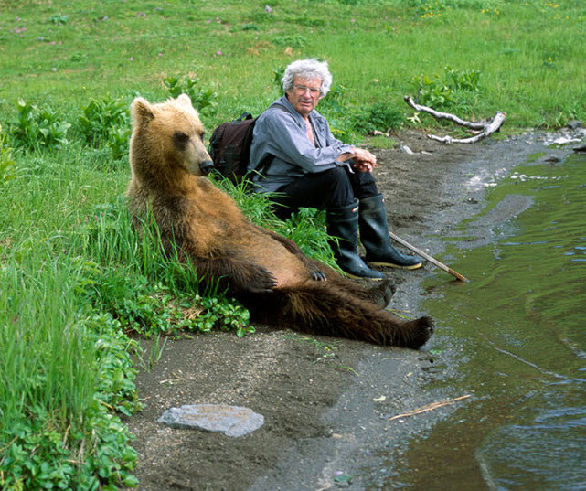 relaxing-bear