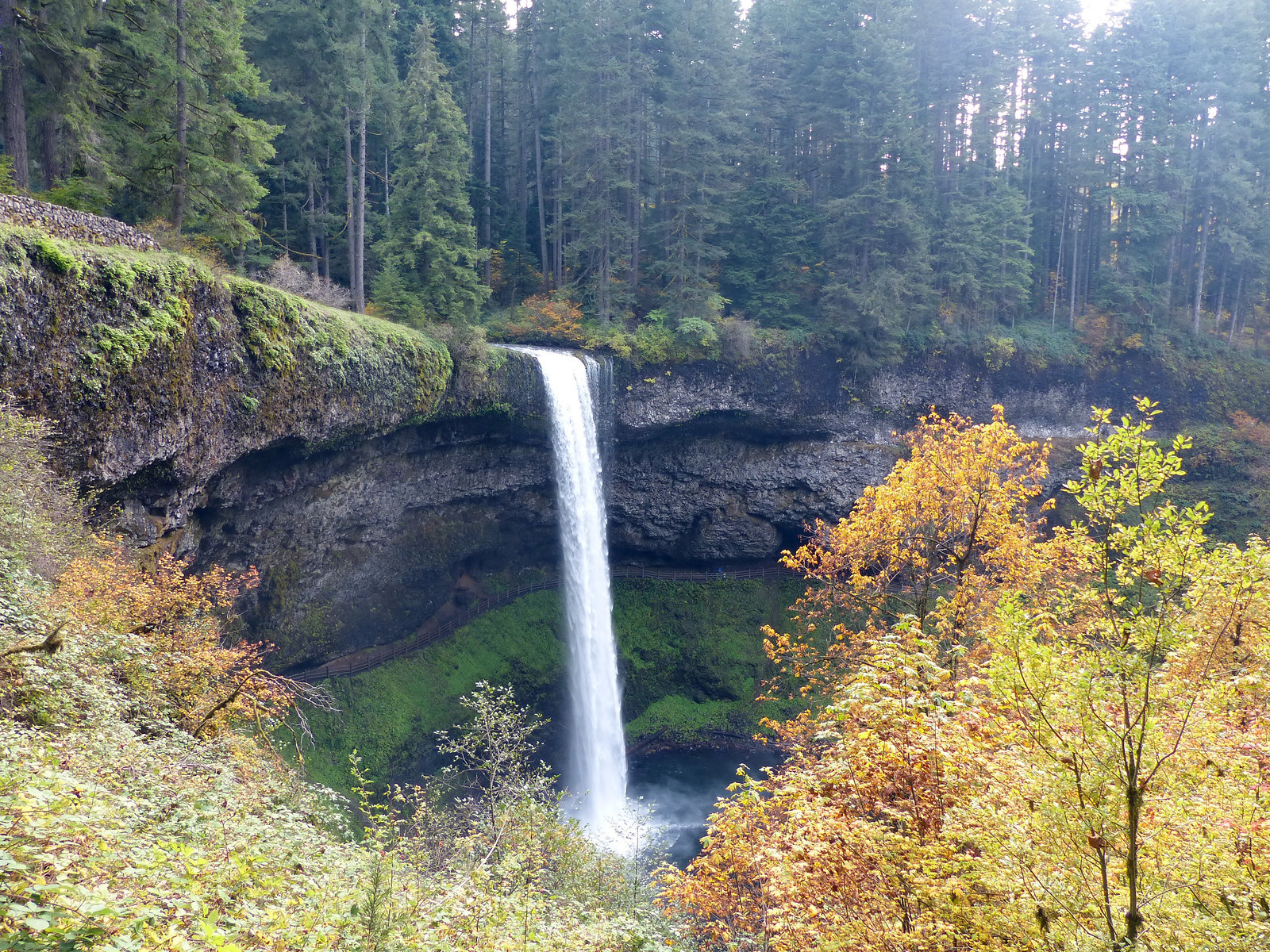 197 Oregon Fall Colors - RV-X3