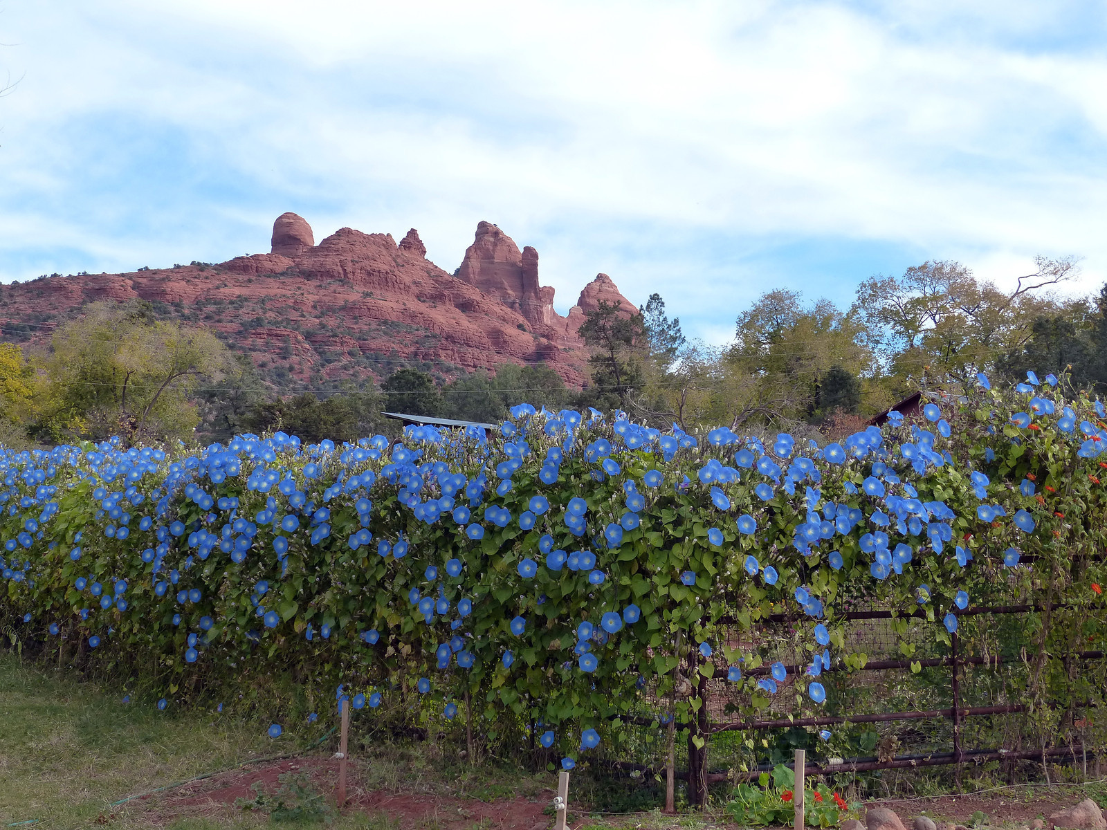 064 Sedona Arizona-X3