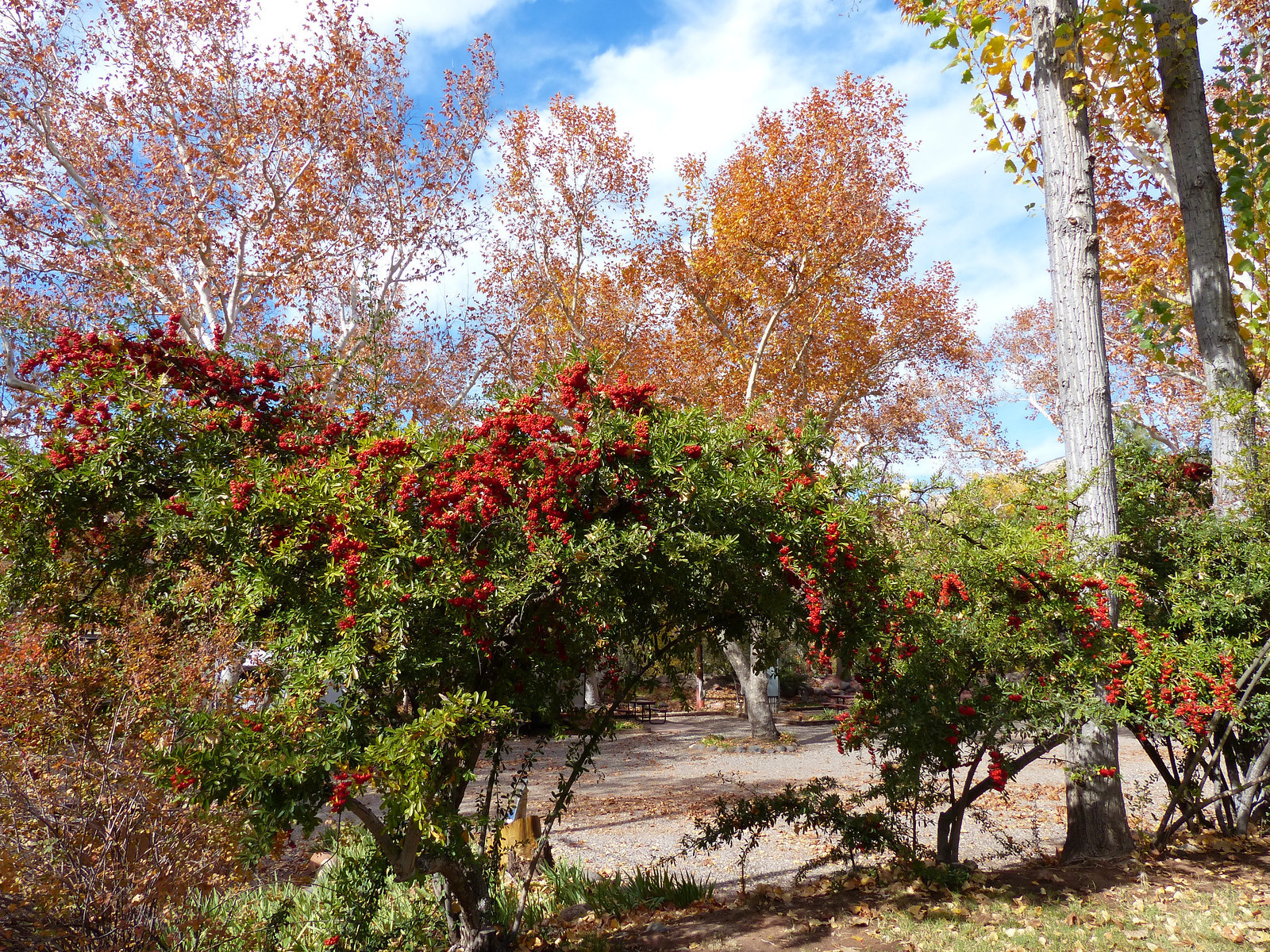 057 Sedona Arizona-X3