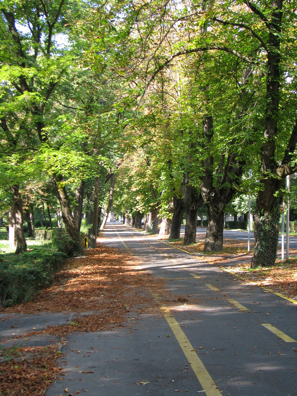Bicikliút és gyalogjárda a Helikon park mellett