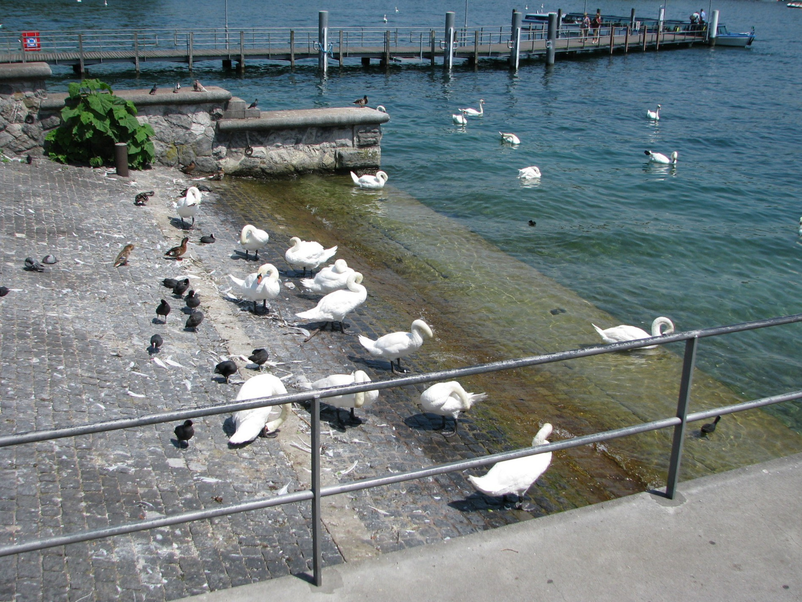 Szabadstrand mindenkinek!