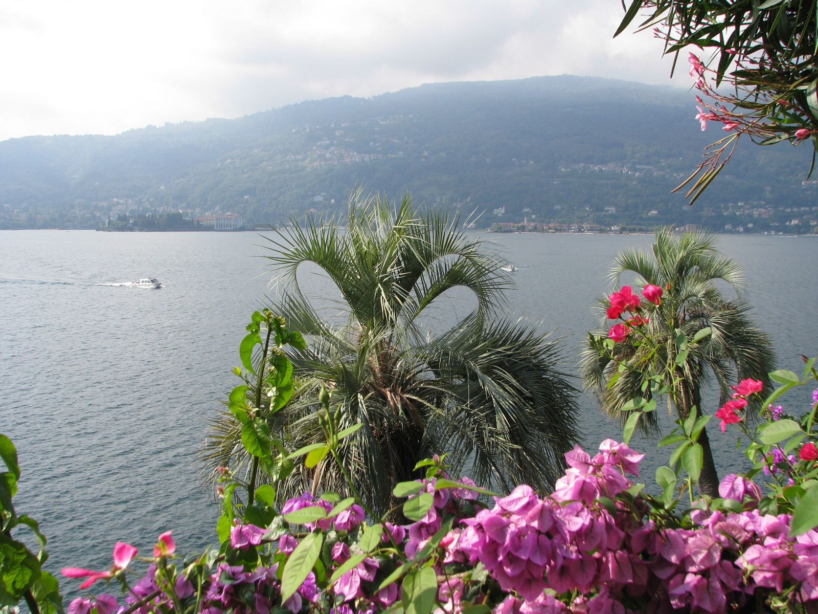 A Lago Maggiore a szigetről