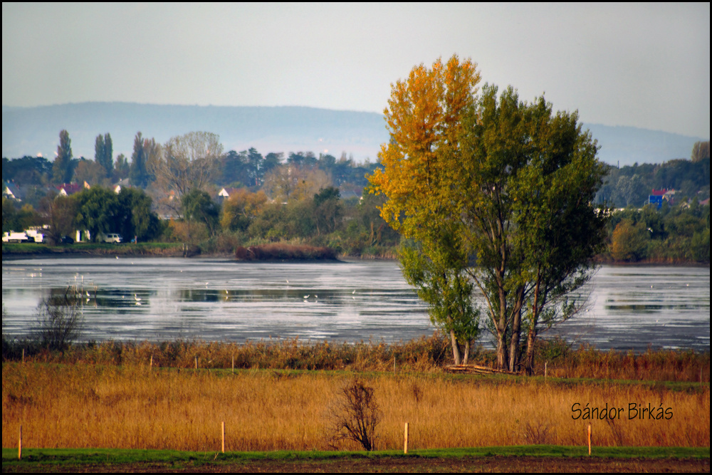 ŐSZSZÍNEI 38