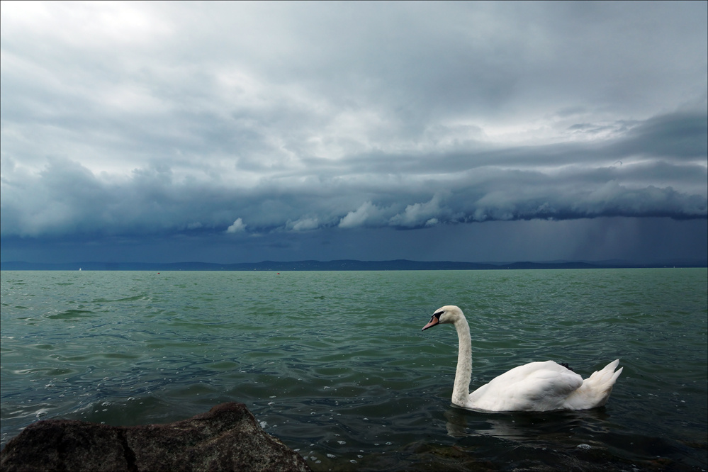 ŐSZI BALATON 6