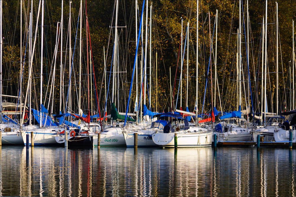 ŐSZI BALATON 20