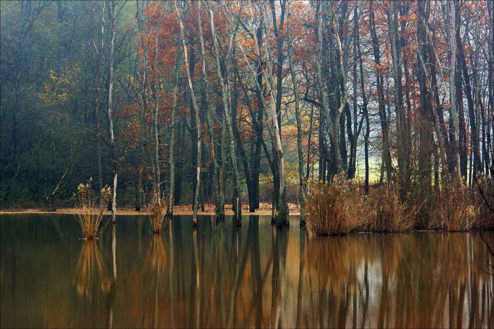 ŐSZI KÉPEK 24