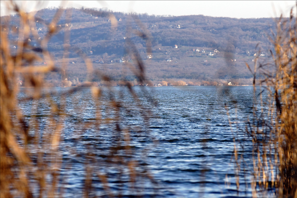 ŐSZI BALATON 61