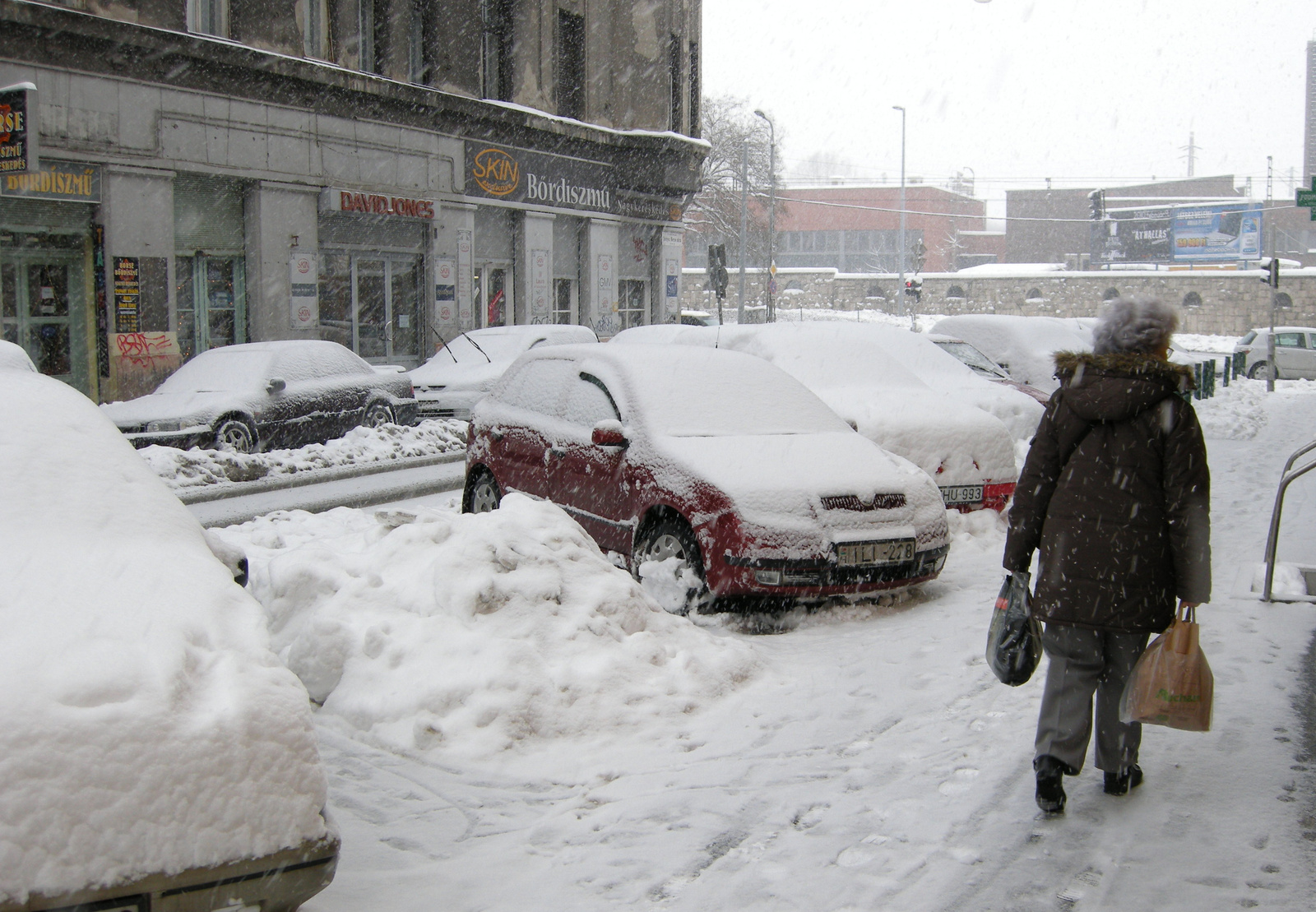 Tél 2010 Szinyei utca