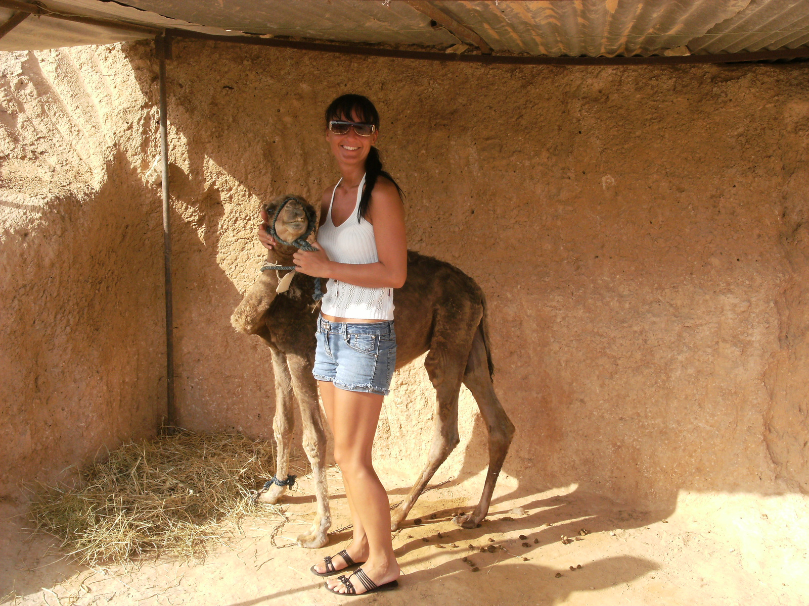 Djerba 2009 005 (103)