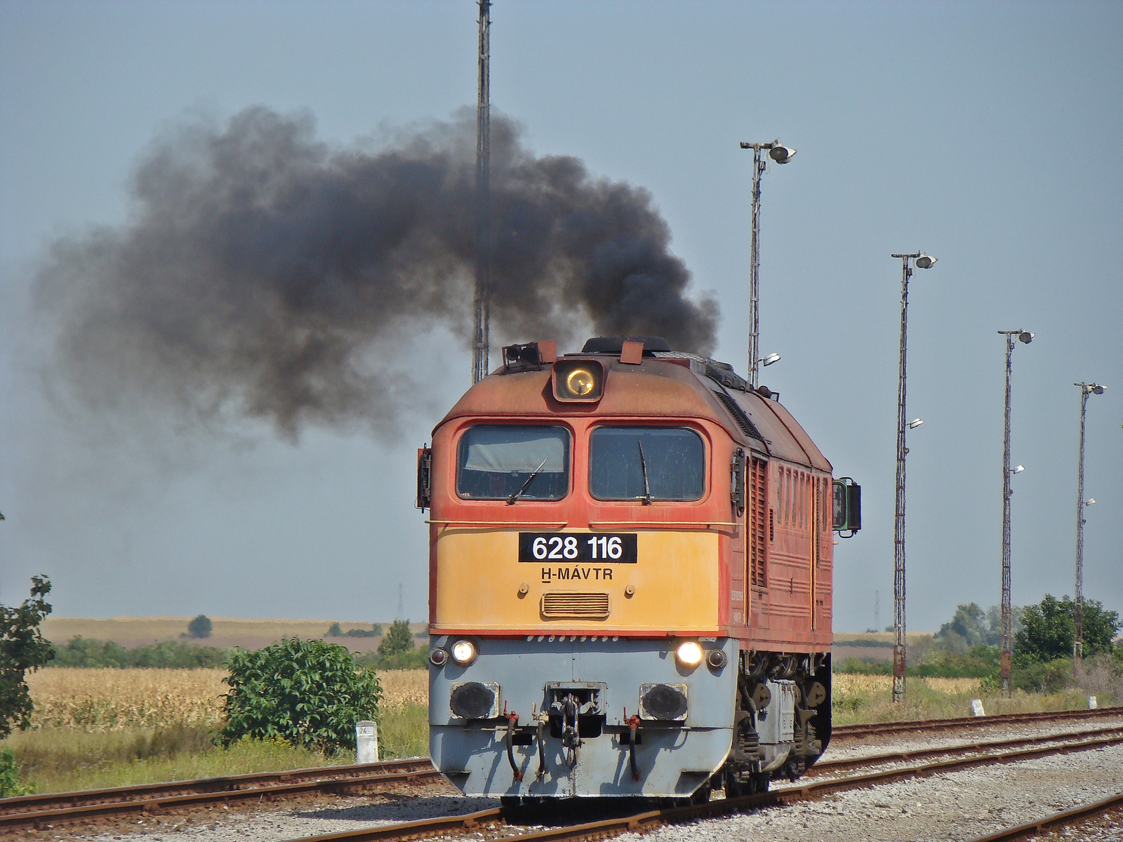 628 116 / M62 116 /