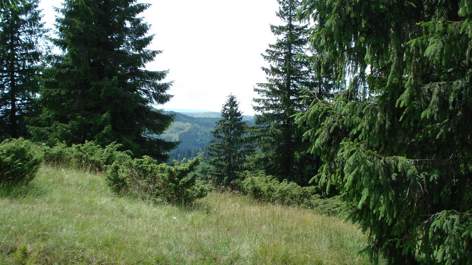 Békási-Szoros00064