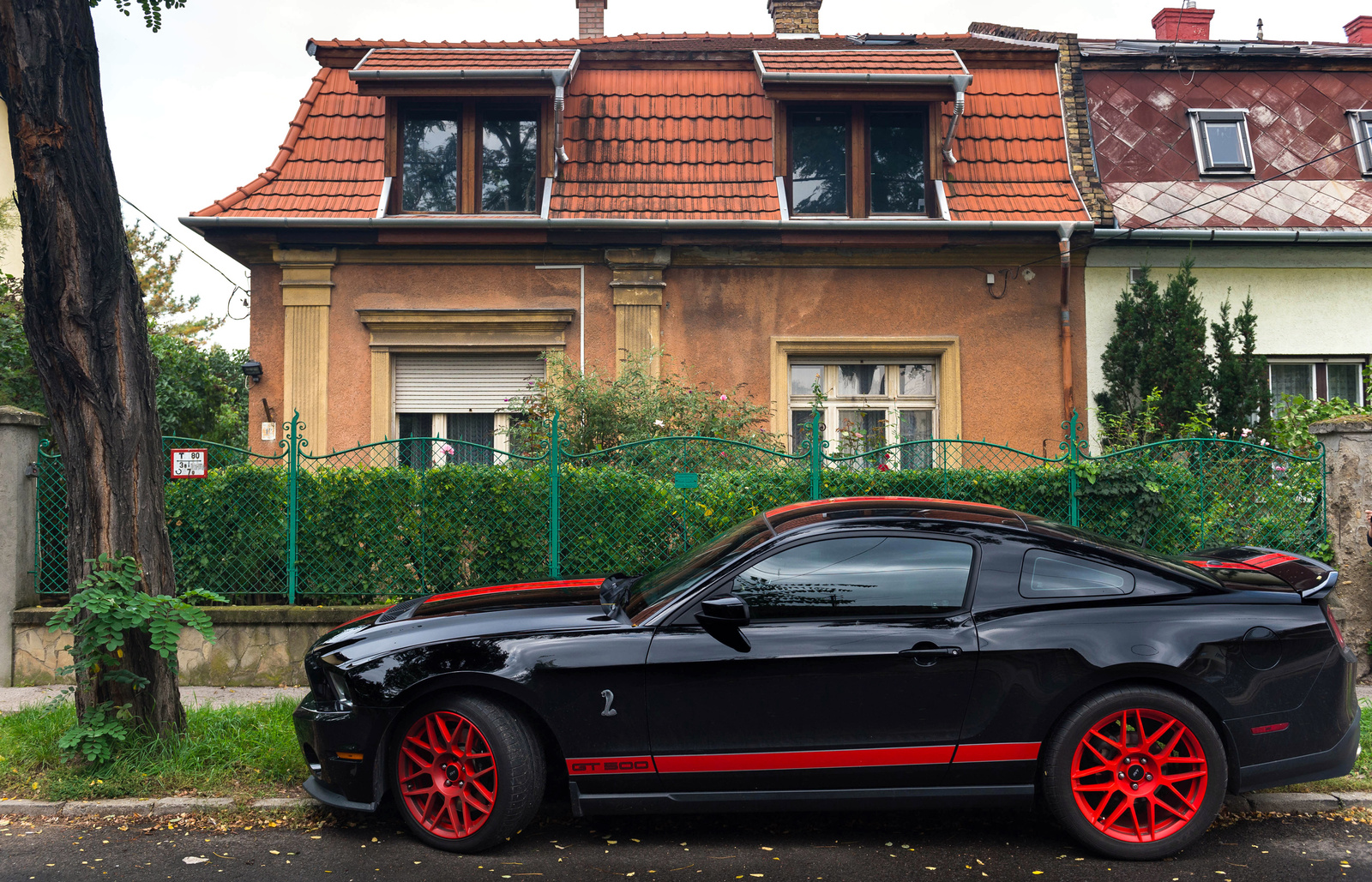 Shelby GT500 (2010)