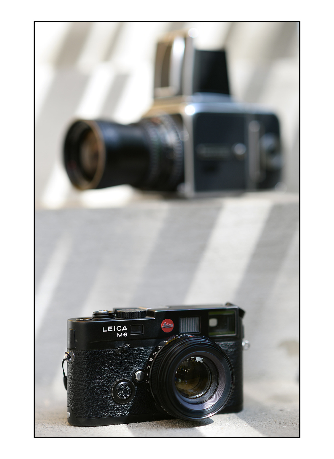 Leica M6 TTL + Yashinon 45mm f/1.7