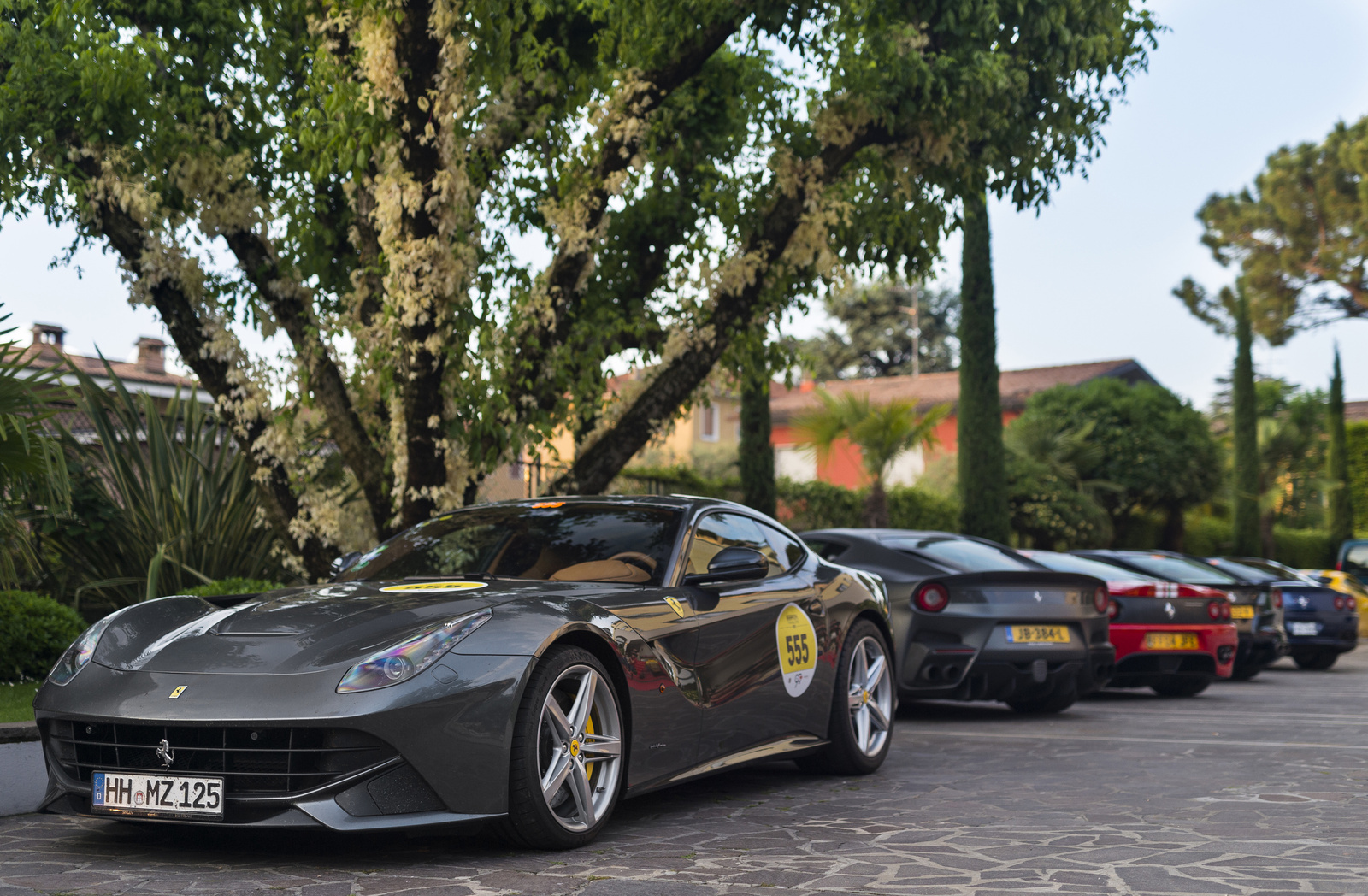 Ferrari sor