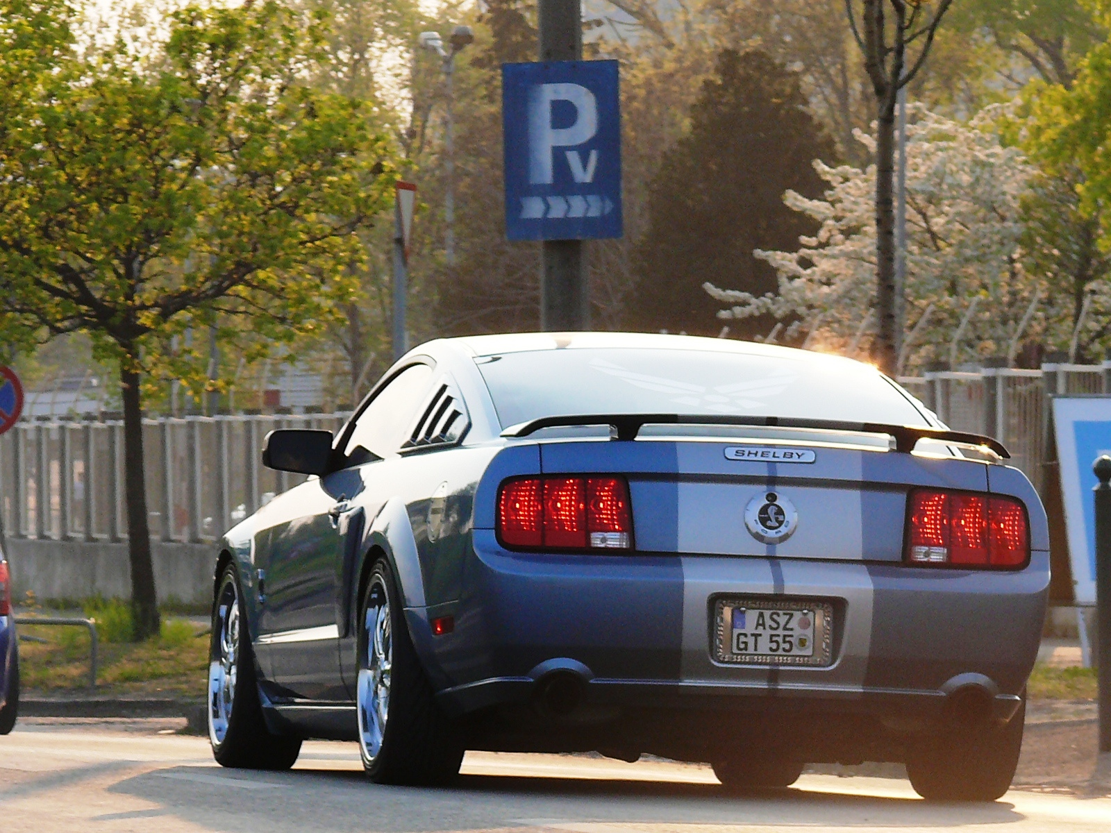 Shelby GT 500