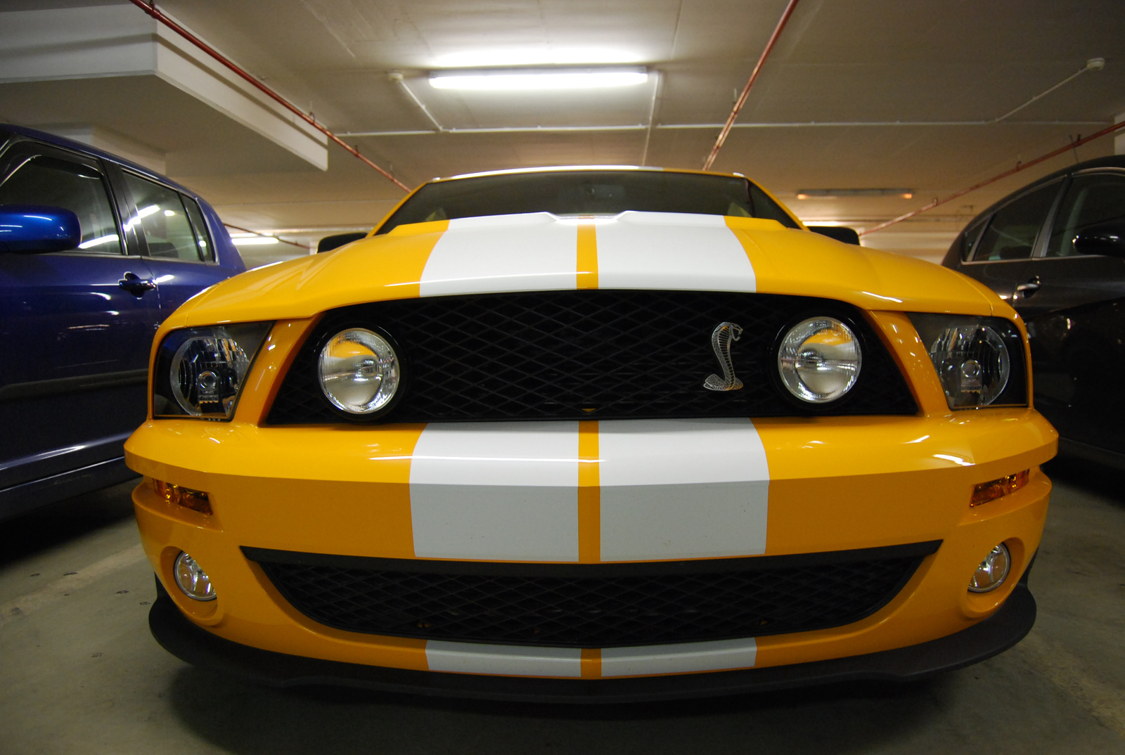 Shelby GT500