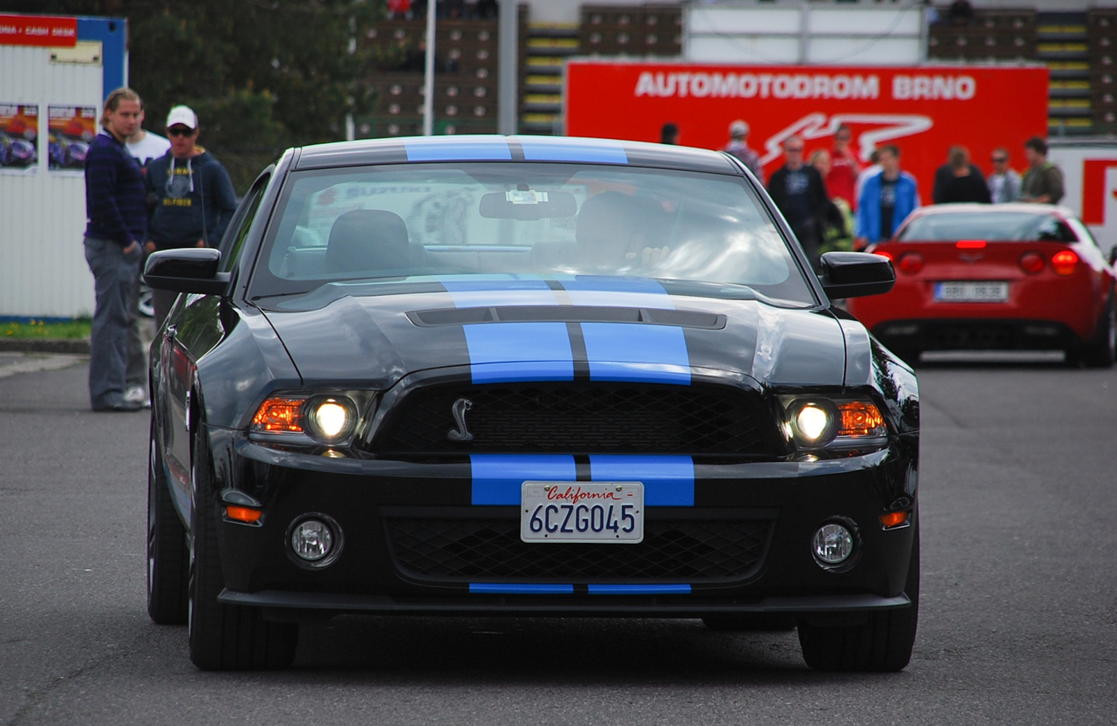 Shelby GT500